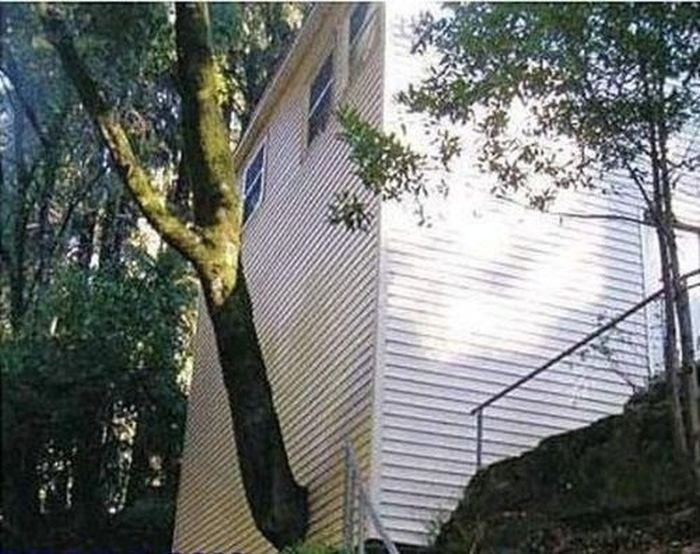 engineerfails50_045