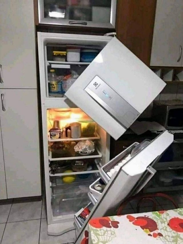 failz395_053