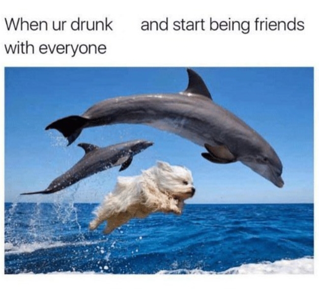 funnymemes551_054