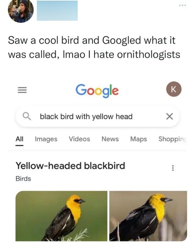 funnymemes552_006