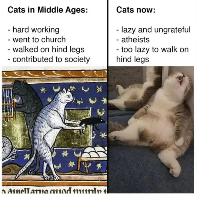 funnymemes552_030
