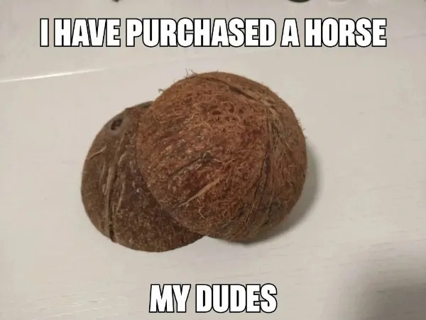 funnymemes553_004