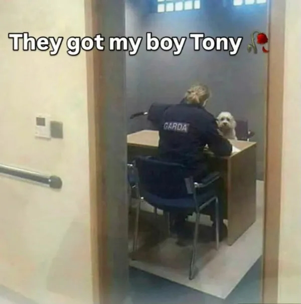 funnymemes553_010