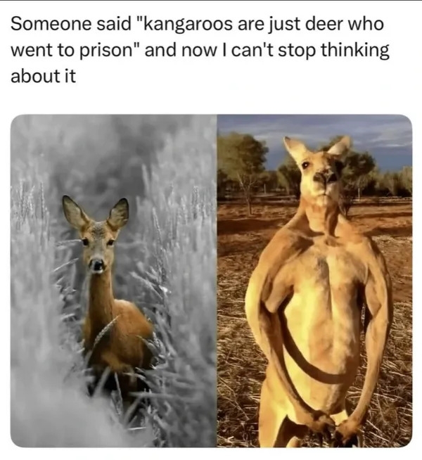 funnymemes553_014