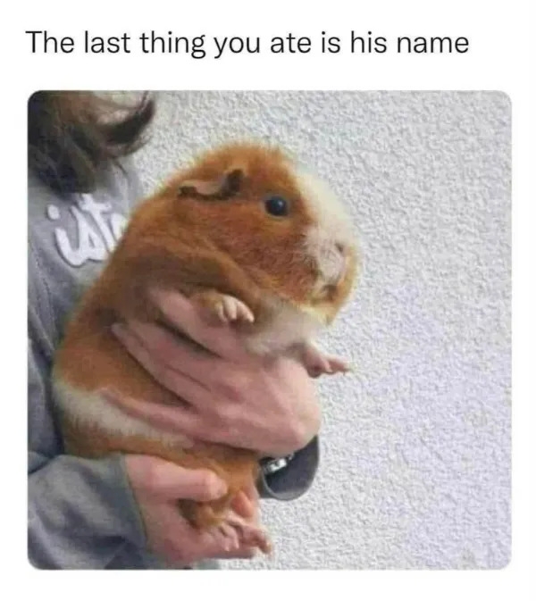 funnymemes553_016
