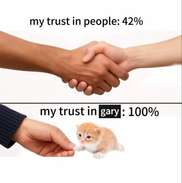 funnymemes553_037