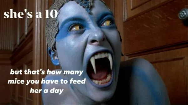 funnymemes554_008