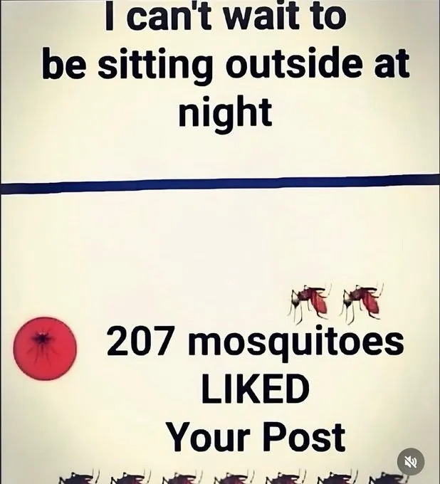 funnymemes554_010