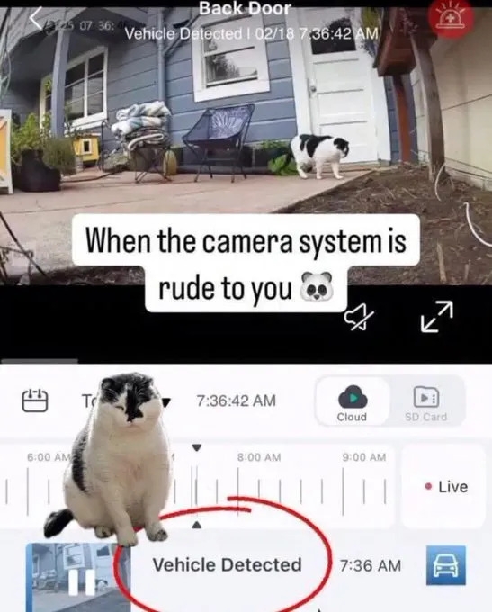 funnymemes554_020