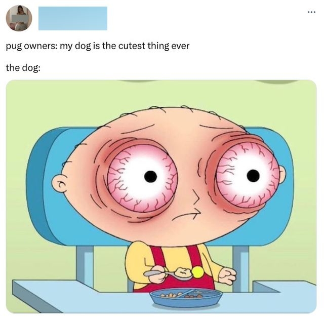 funnymemes554_032
