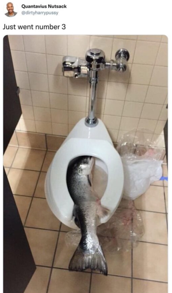 funnymemes555_010