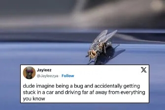 funnymemes555_011