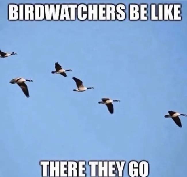 funnymemes555_022