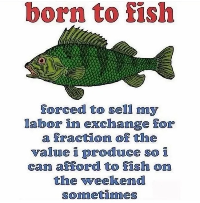 funnymemes555_026