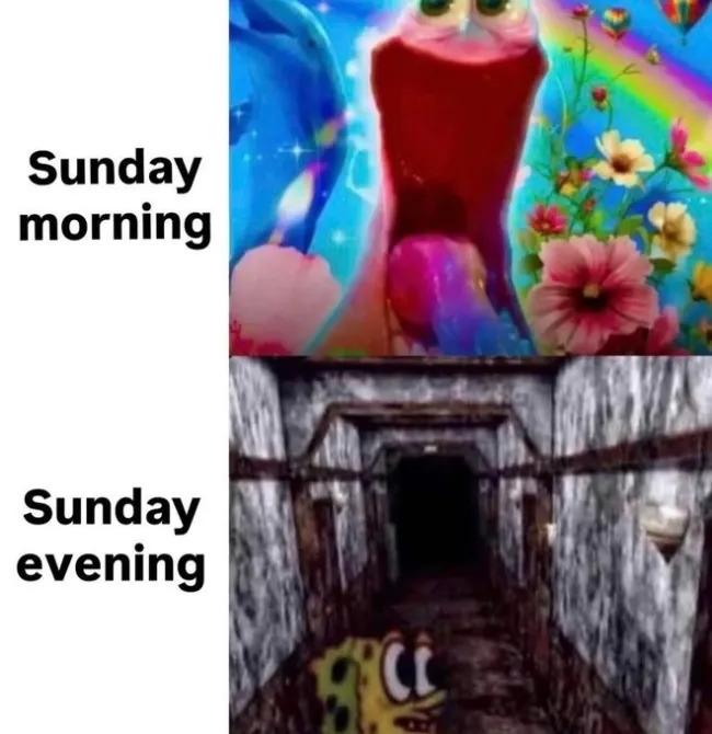 funnymemes555_031
