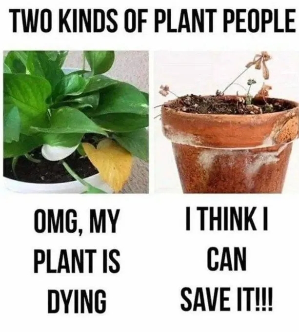 funnymemes555_032