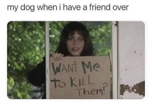 funnymemes556_029