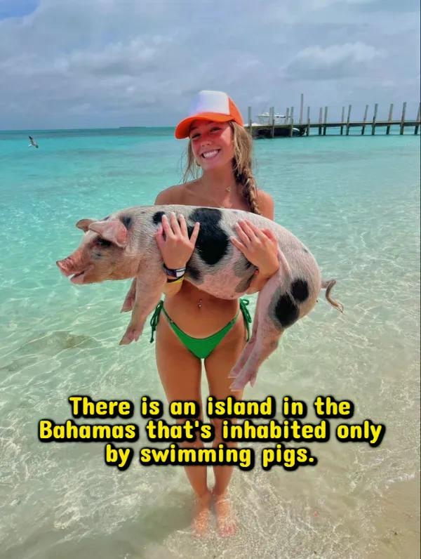 interestingfacts380_005