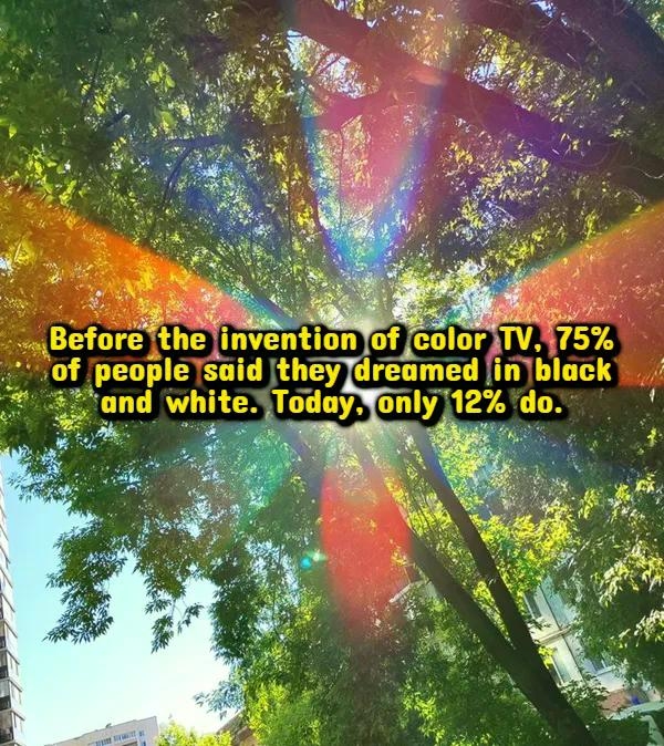 interestingfacts380_007