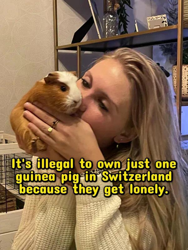 interestingfacts380_011