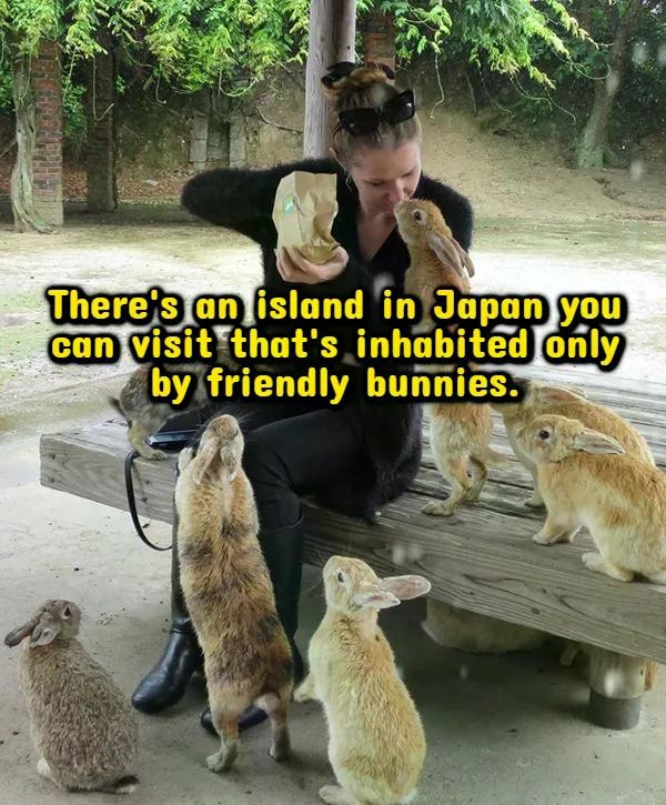 interestingfacts380_014