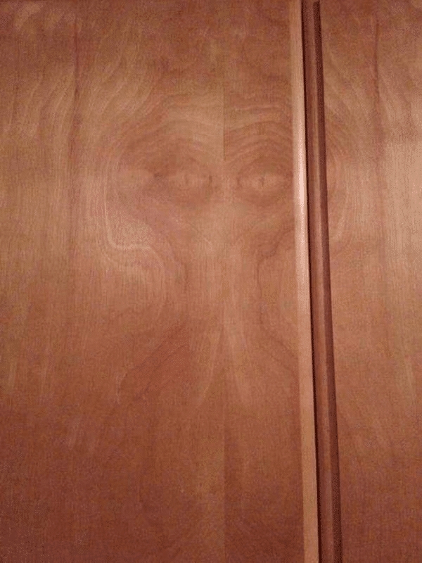 opticalillusions30_040