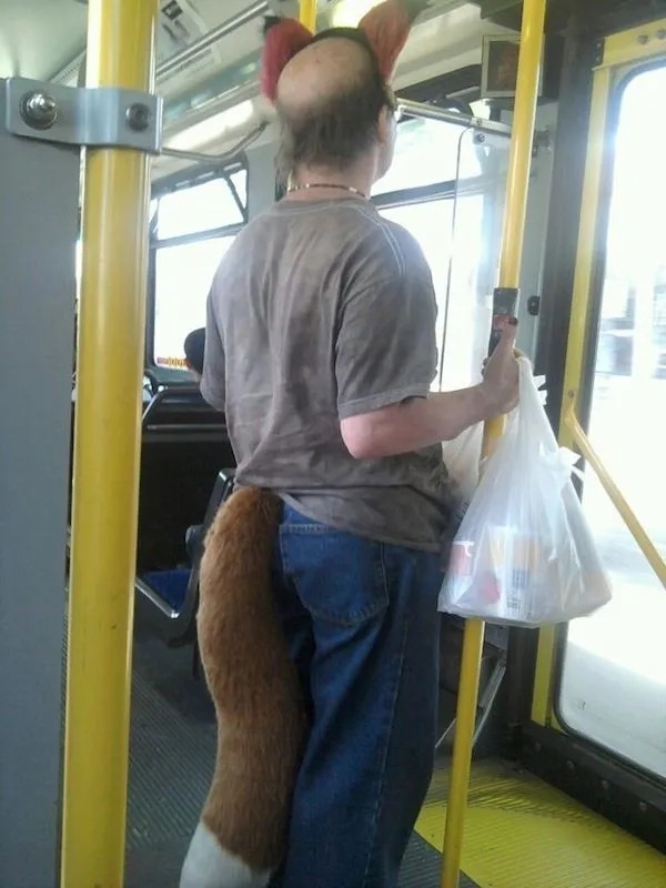 publictransport3_012