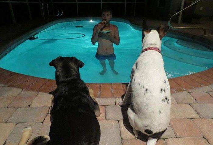 randompics2156_111