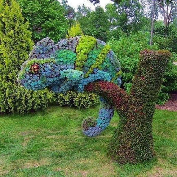 randompics2158_062