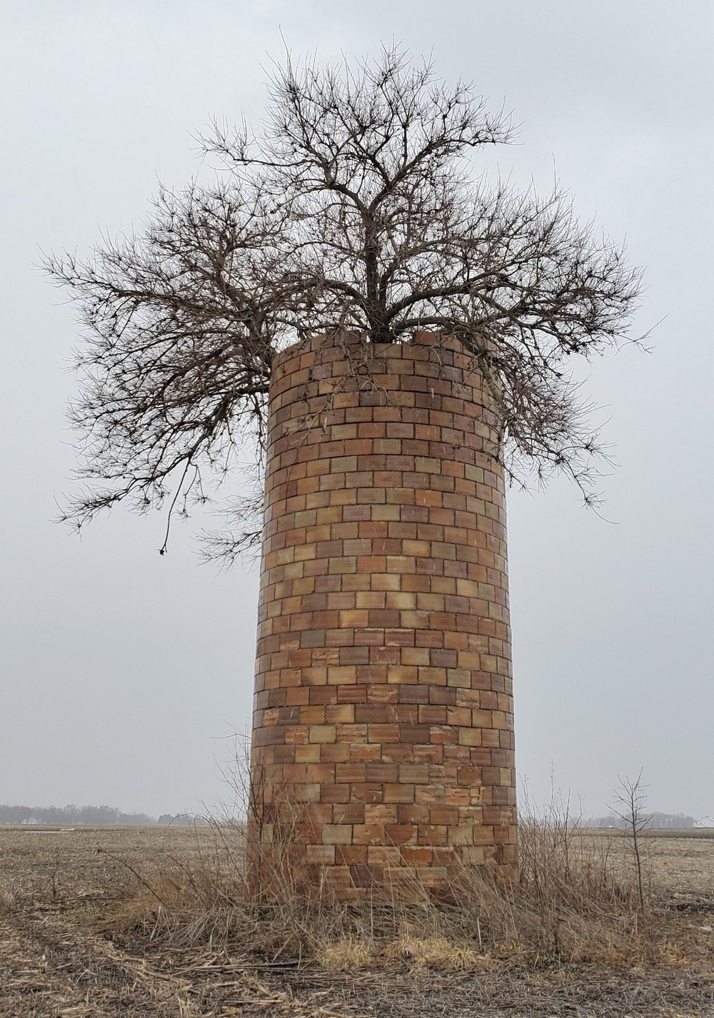 randompics2159_078