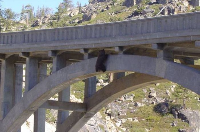 randompics2159_107
