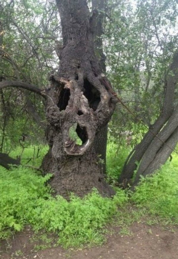 randompics2160_010