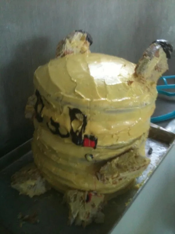 cakefails3_005