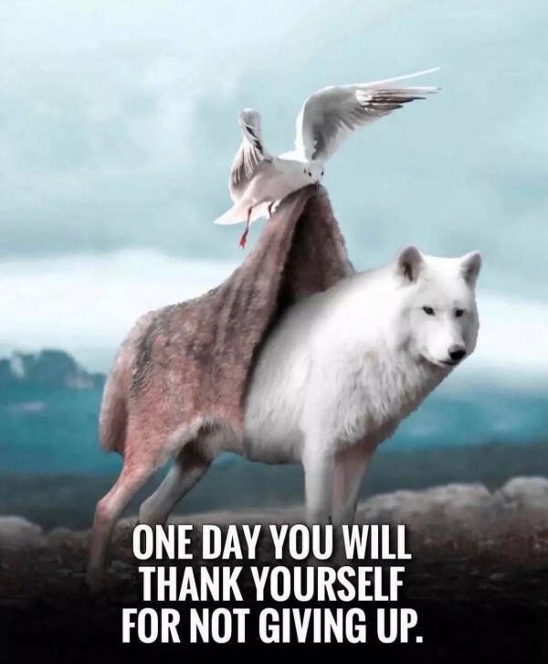 deepthoughts64_028
