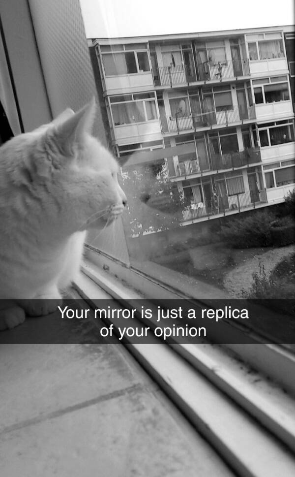 deepthoughts64_031