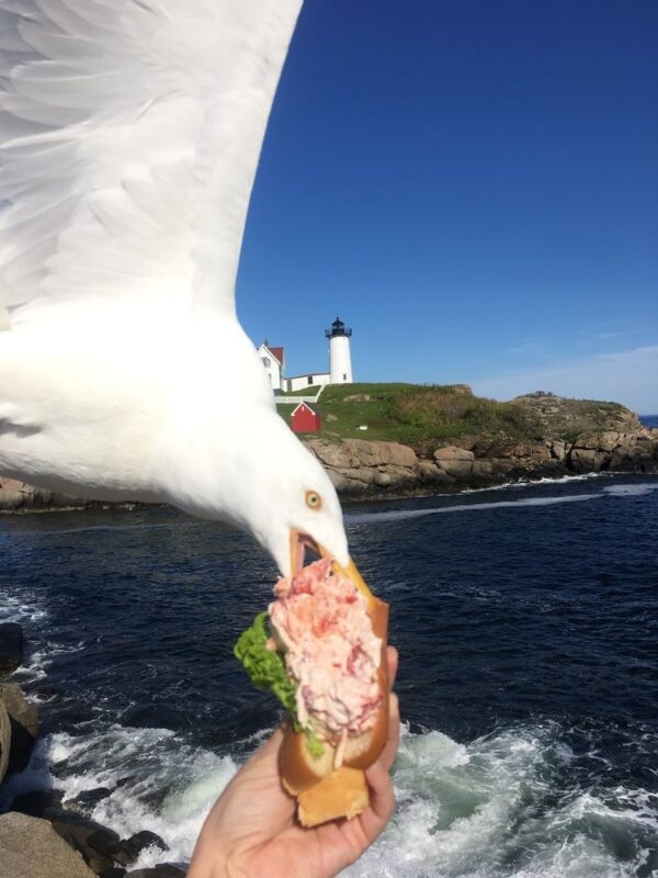 failz400_004