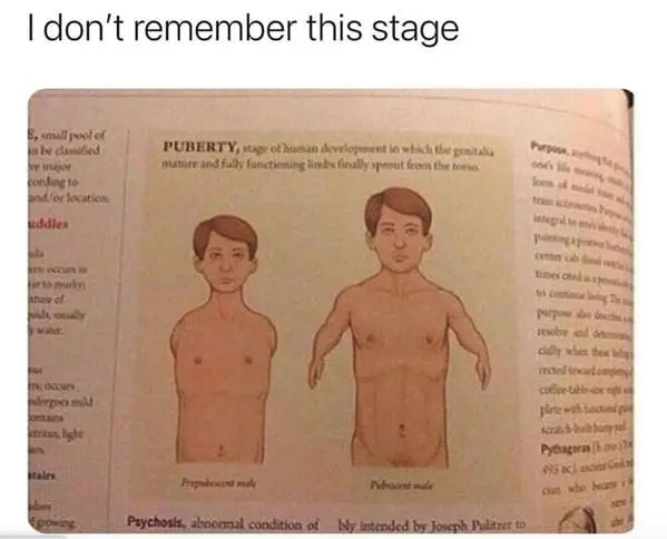 funnymemes557_004