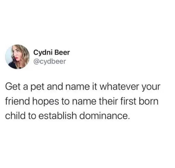 funnymemes557_008