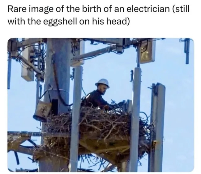 funnymemes557_023