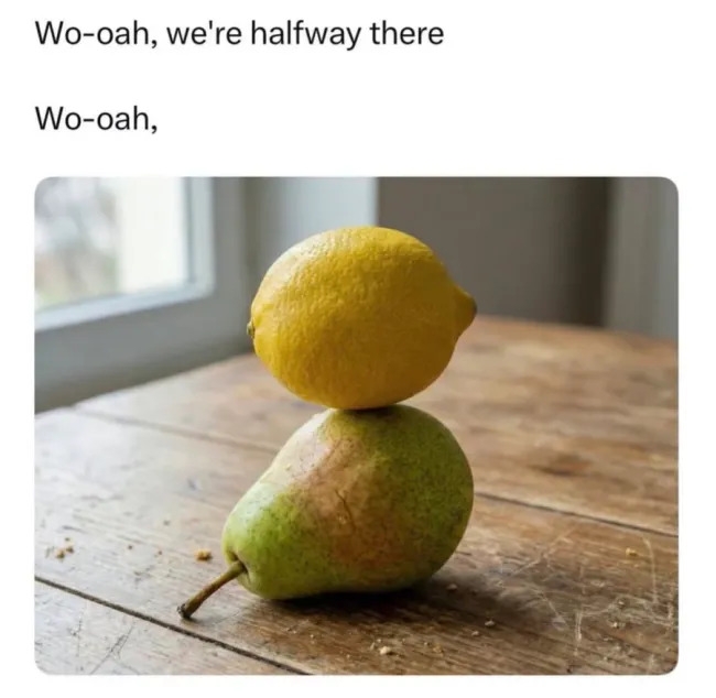 funnymemes557_028