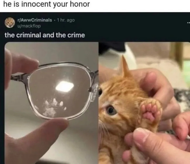 funnymemes558_003