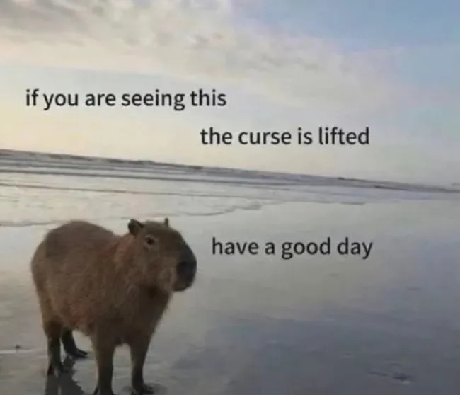 funnymemes558_008