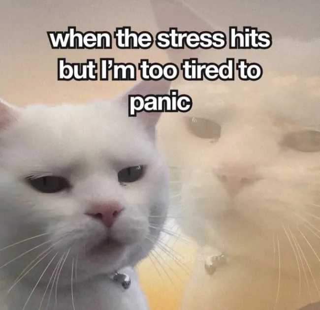 funnymemes558_011