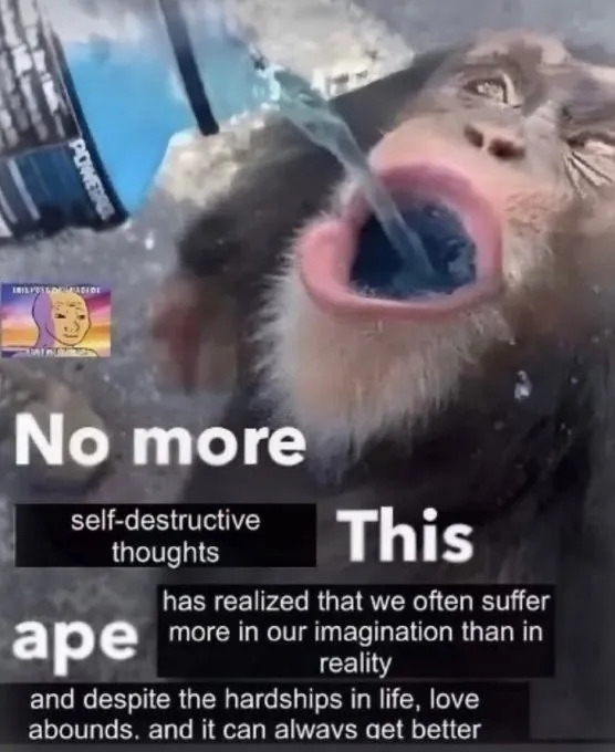 funnymemes558_012