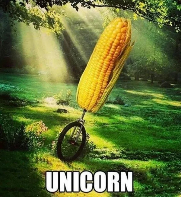 funnymemes559_002