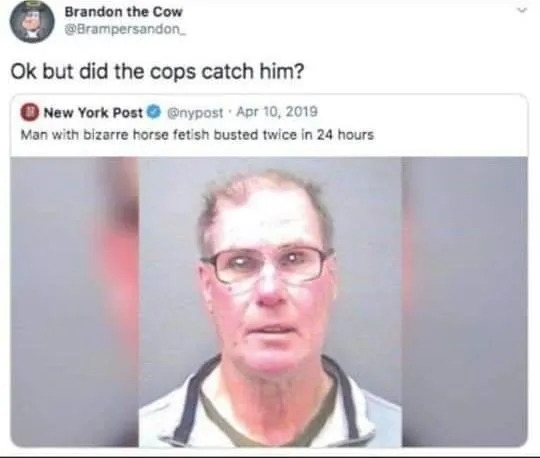 funnymemes559_004