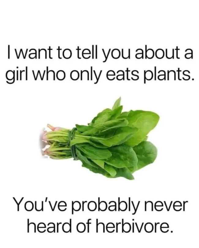 funnymemes559_019