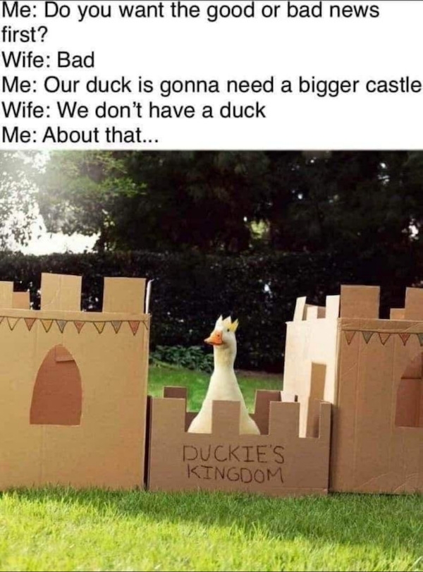 funnymemes559_025