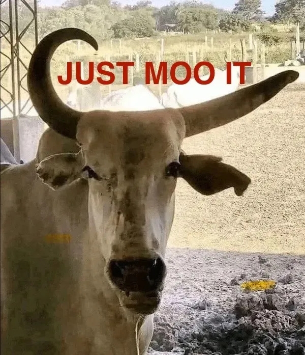 funnymemes559_034