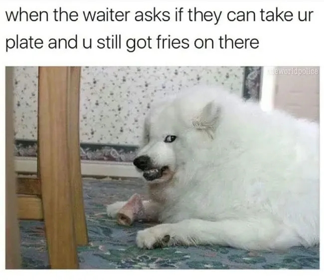 funnymemes561_012